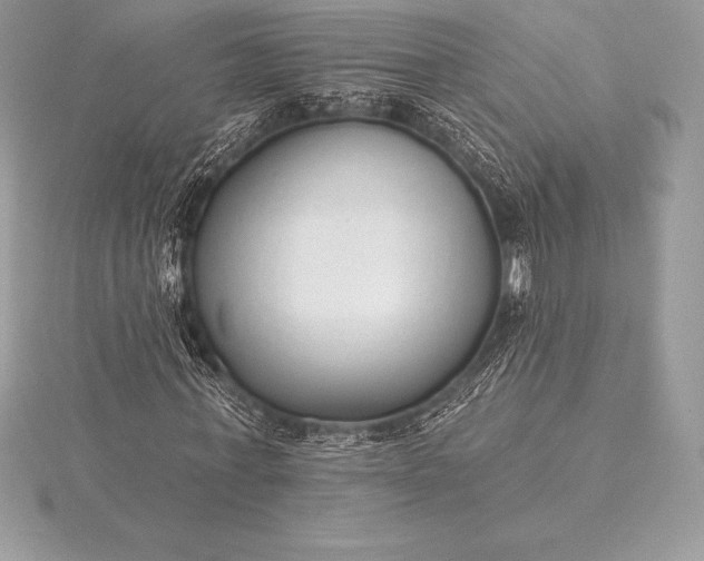 X0000115550771200911201800