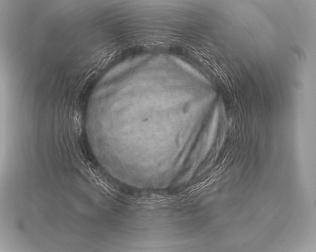 X0000115550772200911201800