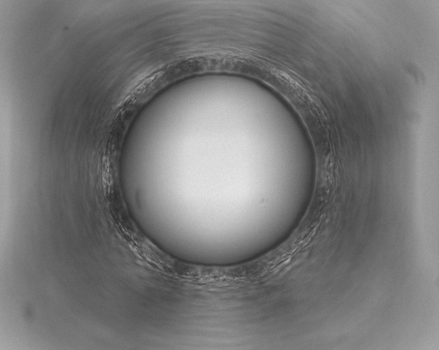 X0000115550774200911201800