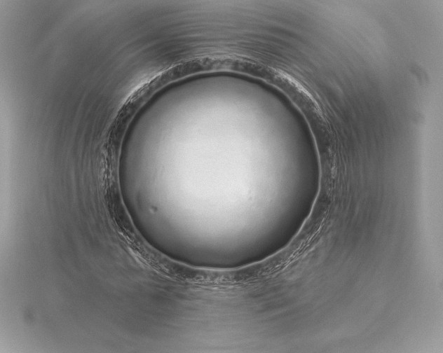 X0000115550775200911201800