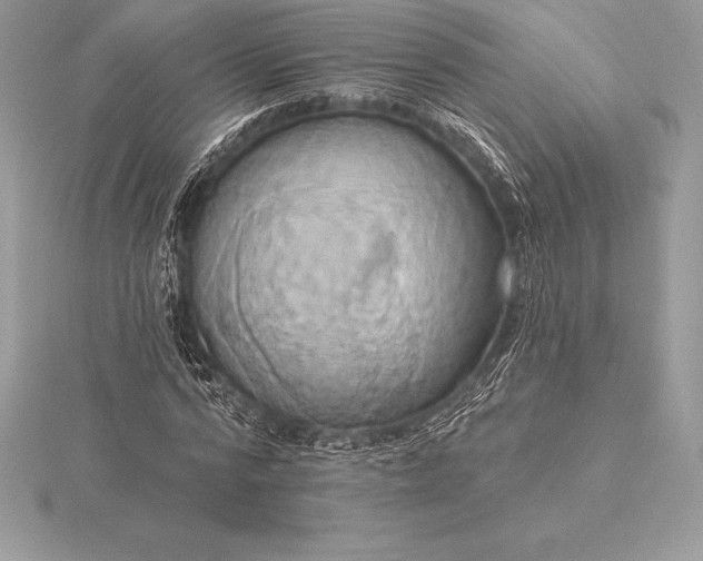 X0000115550776200911201800