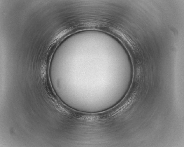 X0000115550778200911201800