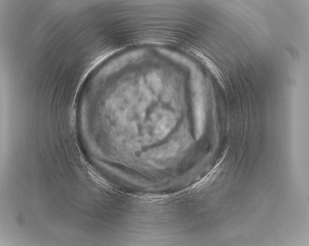 X0000115550779200911201800