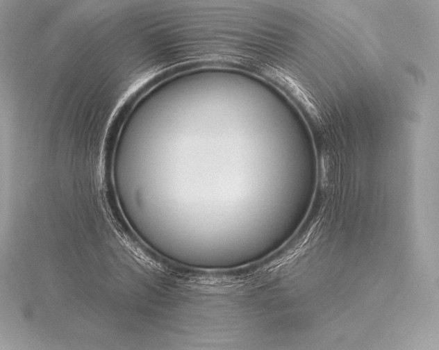 X0000115550780200911201800