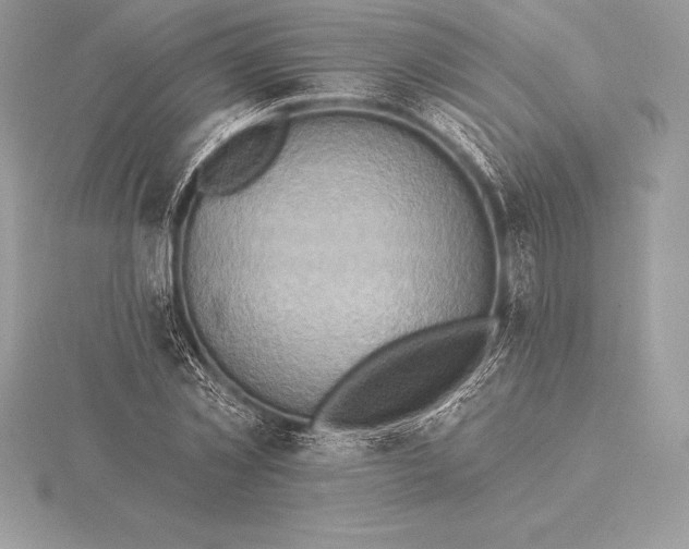 X0000115550781200911201800