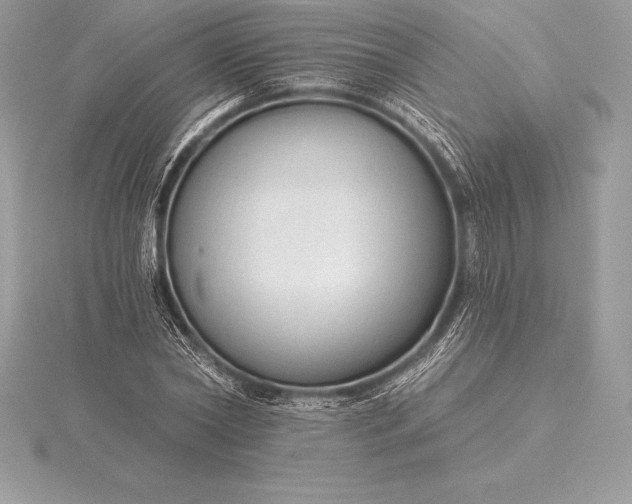 X0000115550782200911201800