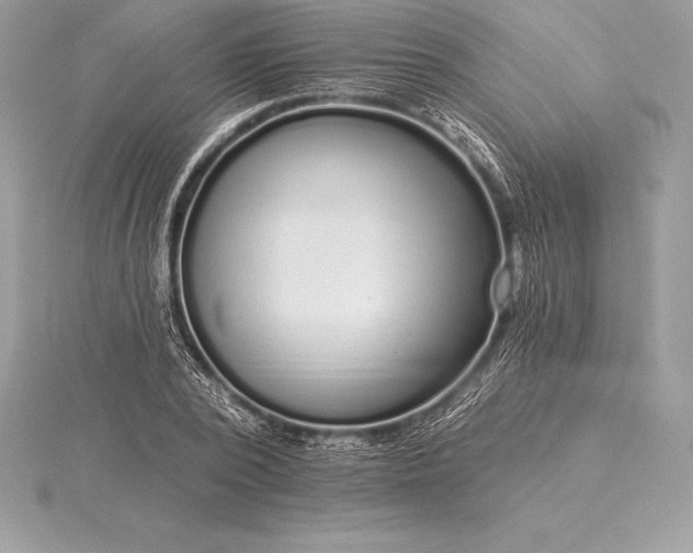 X0000115550784200911201800