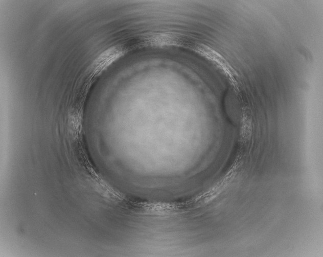 X0000115550785200911201800