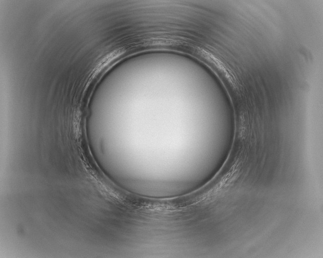 X0000115550786200911201800