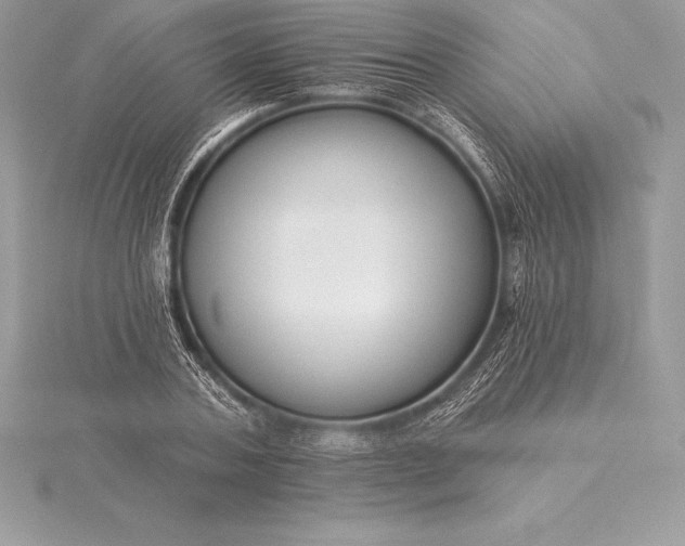 X0000115550787200911201800