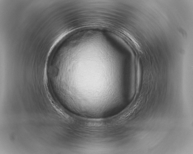 X0000115550788200911201800