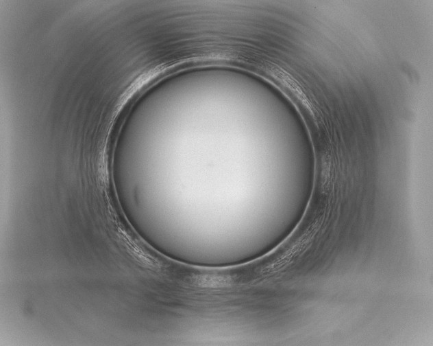 X0000115550789200911201800