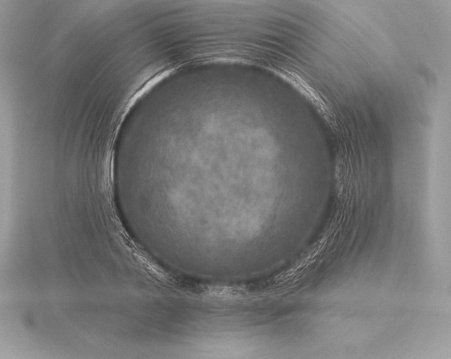 X0000115550790200911201759