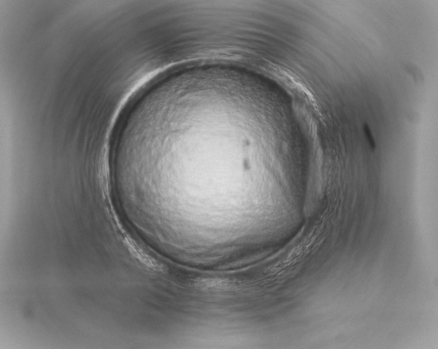 X0000115550792200911201759