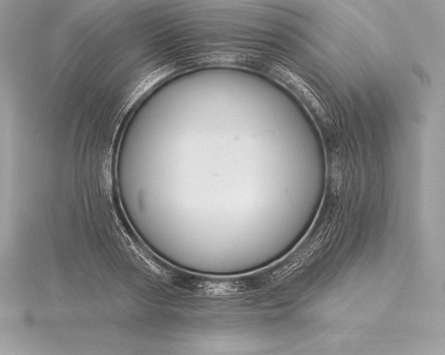 X0000115550794200911201759