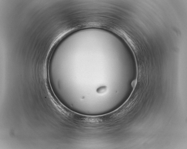 X0000115550795200911201759