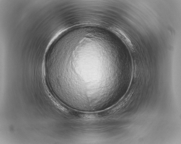 X0000115550796200911201759