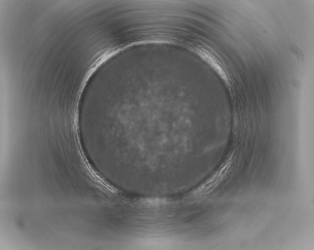 X0000115550797200911201759