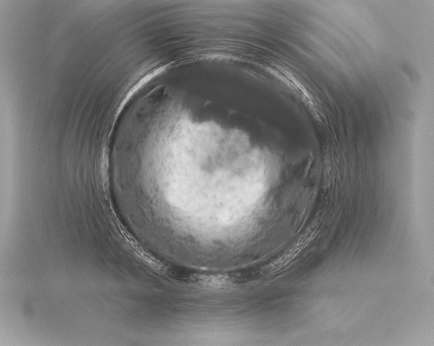 X0000115550798200911201759