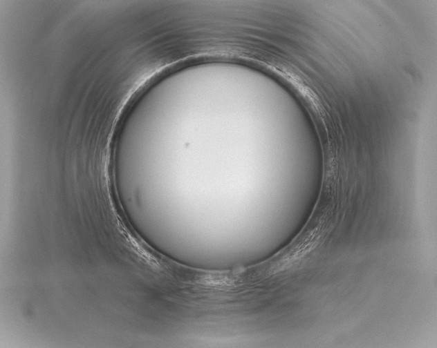 X0000115550799200911201759