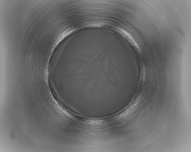 X0000115550802200911201759