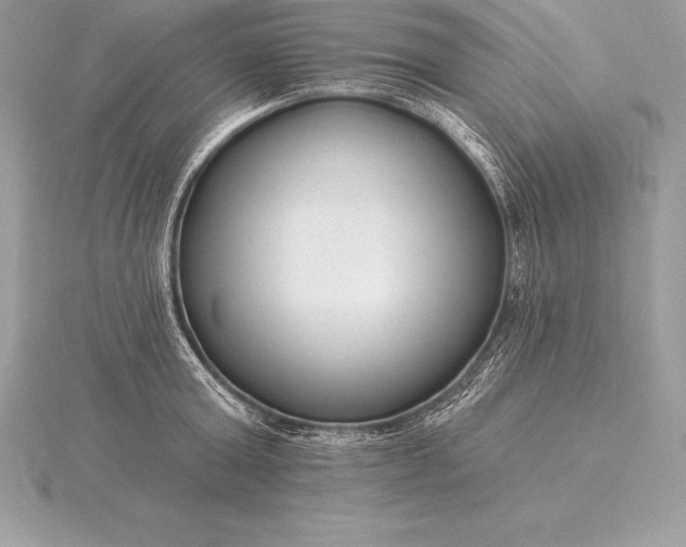 X0000115550803200911201759