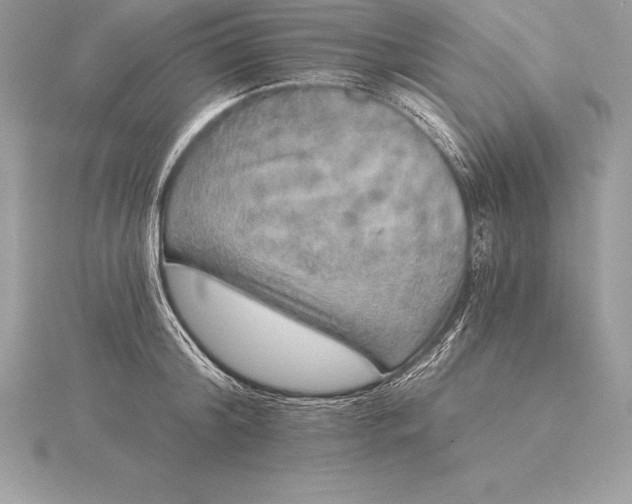 X0000115550804200911201759