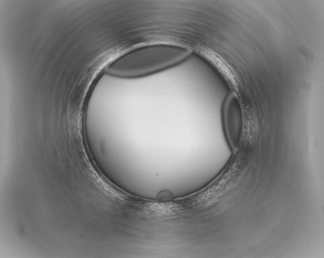 X0000115550805200911201759