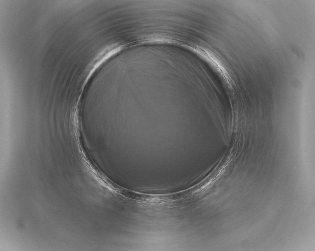 X0000115550806200911201759