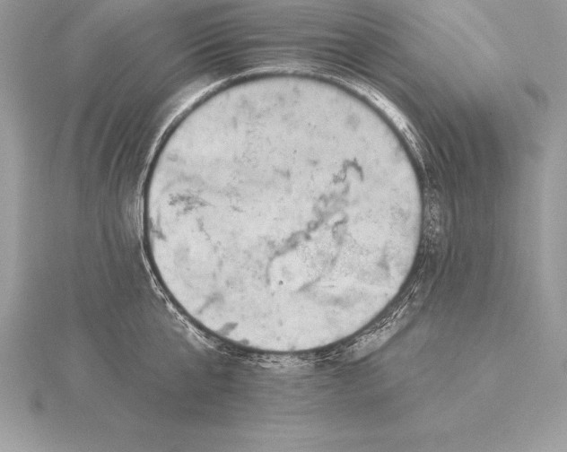 X0000115550807200911201759