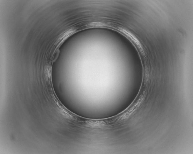 X0000115550809200911201759