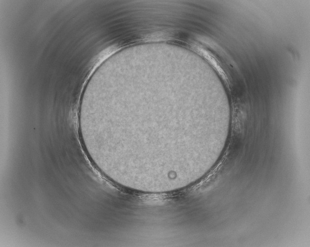 X0000115550810200911201759