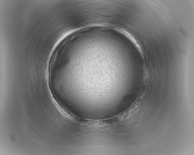 X0000115550811200911201759