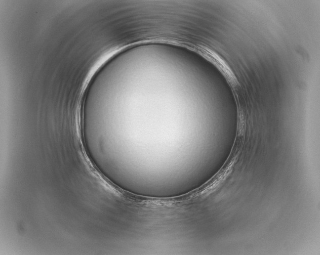 X0000115550812200911201759