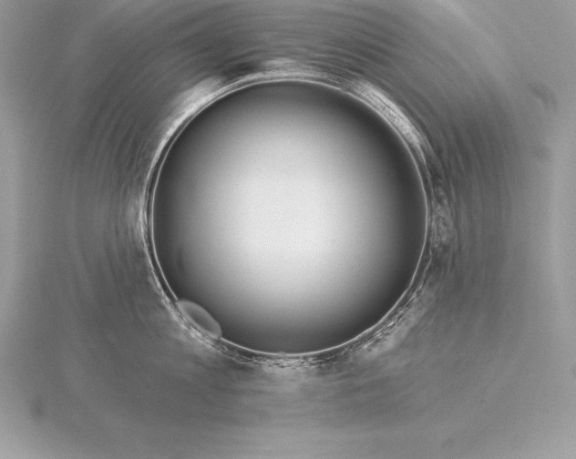 X0000115550813200911201759