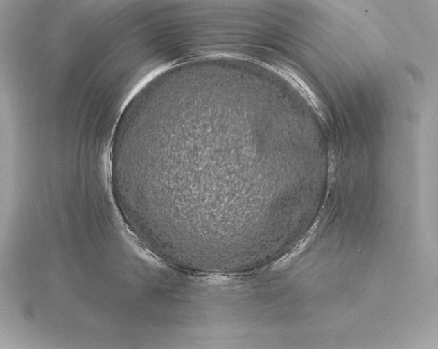 X0000115550814200911201759