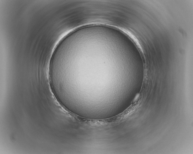 X0000115550815200911201759