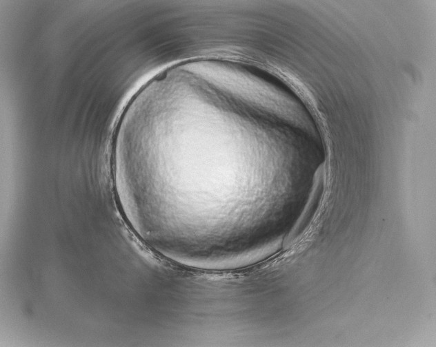 X0000115550816200911201759