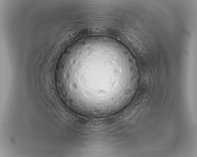 X0000115550817200911201759