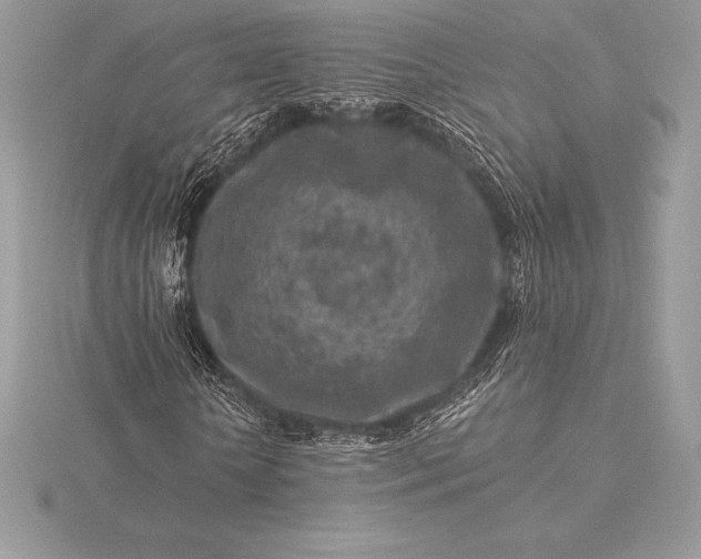 X0000115550818200911201759