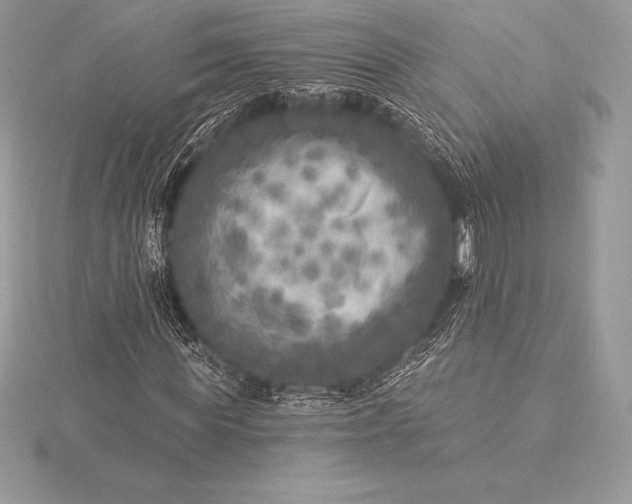 X0000115550819200911201759