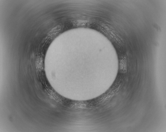 X0000115550820200911201759