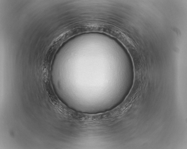 X0000115550821200911201759