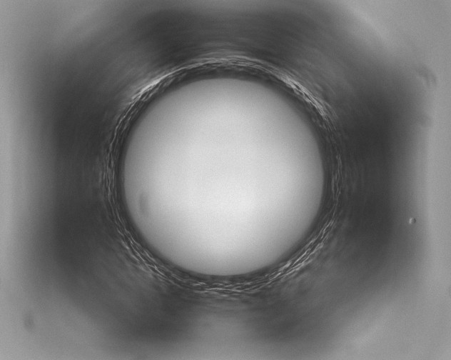 X0000115550822200911201759