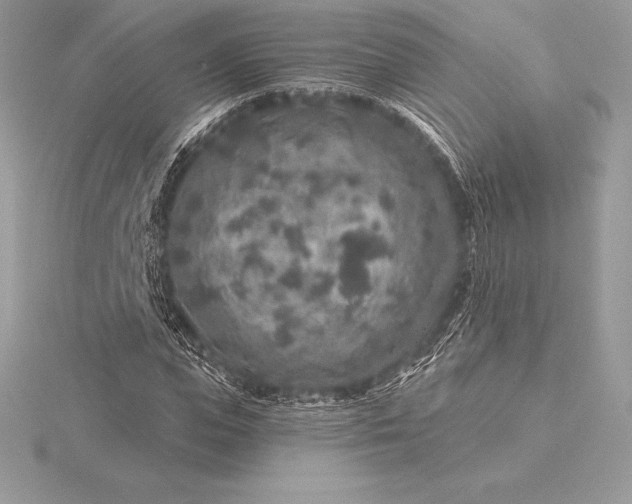 X0000115550823200911201759