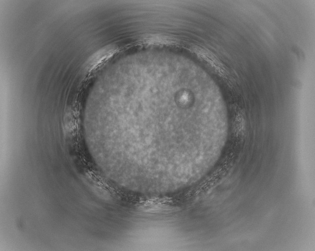 X0000115550824200911201759