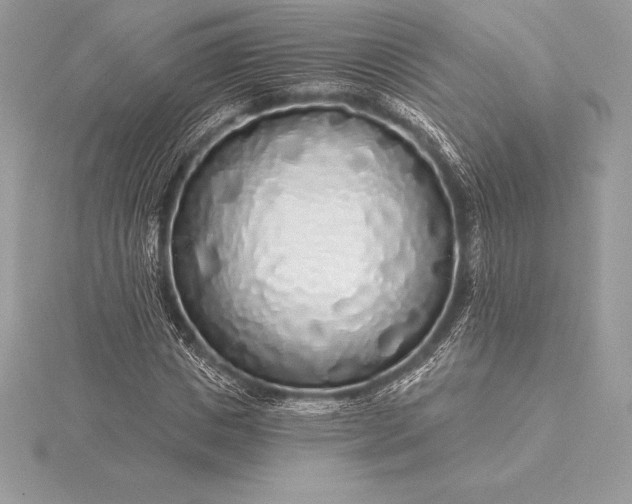 X0000115550825200911201759