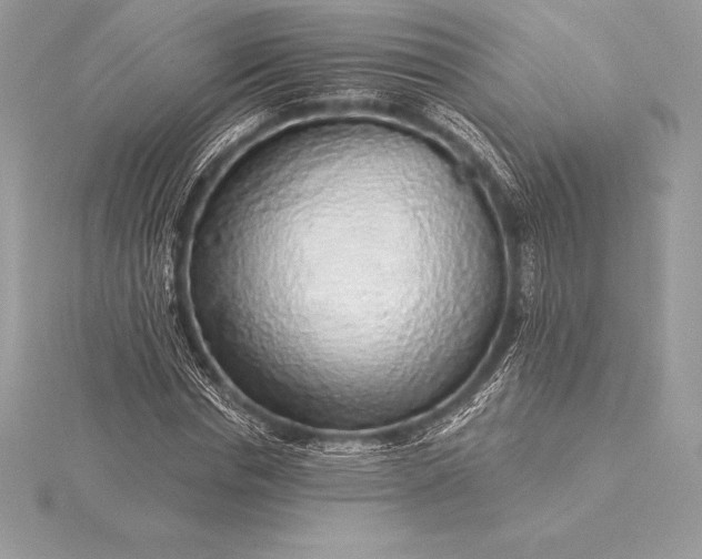 X0000115550826200911201759