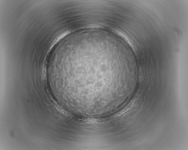 X0000115550827200911201759