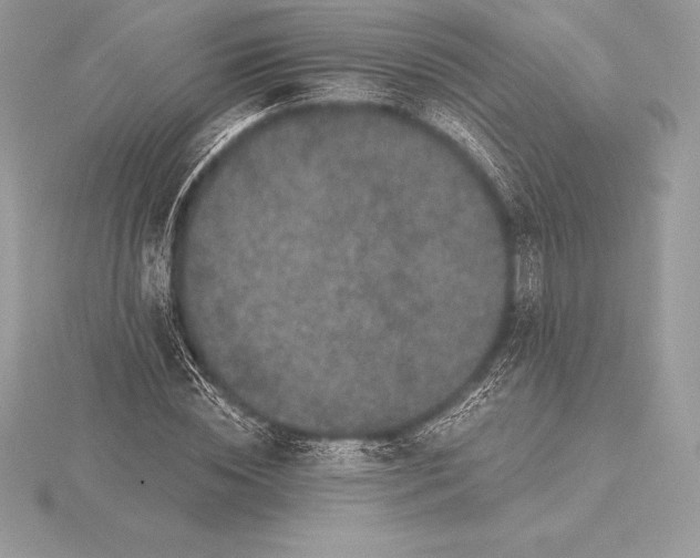 X0000115550828200911201759